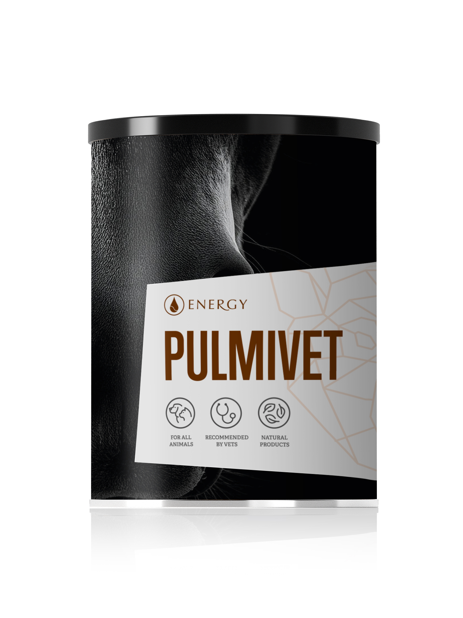 PULMIVET – Atemwegspulver für Pferde