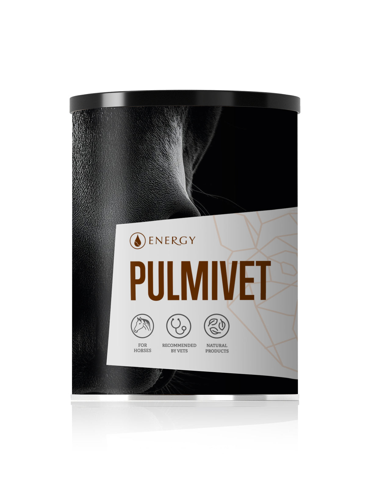 PULMIVET – Atemwegspulver für Pferde
